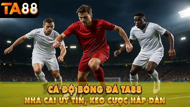 ca do bong da ta88
