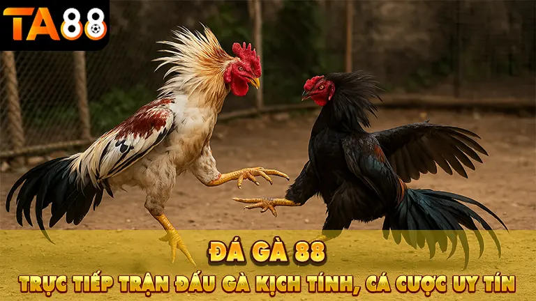 da ga 88